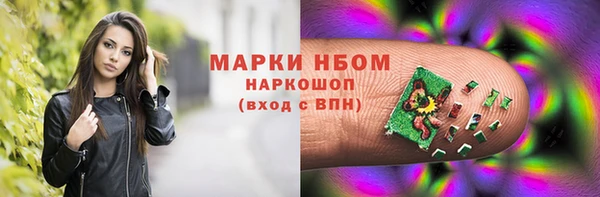 индика Арсеньев