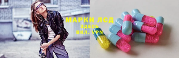 стаф Алзамай