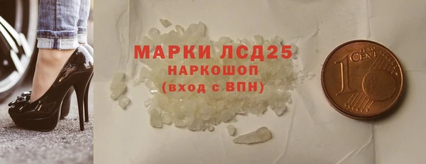 стаф Алзамай