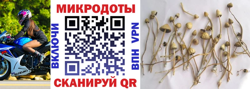 Галлюциногенные грибы GOLDEN TEACHER  Нижнеудинск 